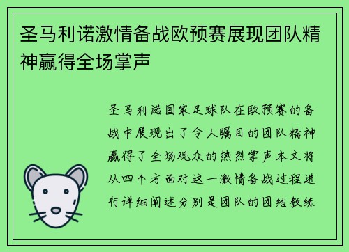 圣马利诺激情备战欧预赛展现团队精神赢得全场掌声