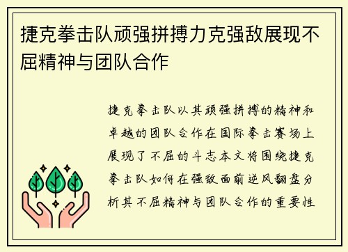 捷克拳击队顽强拼搏力克强敌展现不屈精神与团队合作