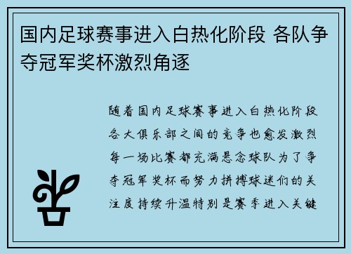国内足球赛事进入白热化阶段 各队争夺冠军奖杯激烈角逐